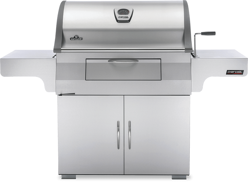 charcoal professional, rvs