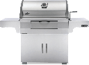 charcoal professional, rvs